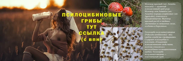 герыч Вяземский
