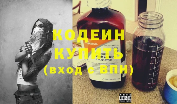стаф Тында