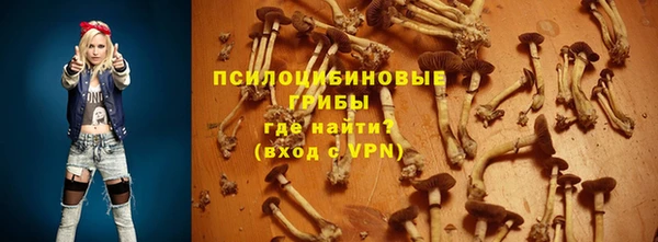 прущие крисы Вязьма