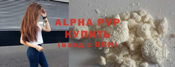 Альфа ПВП Инта